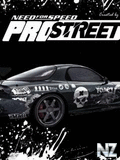 NFS_Pr_str_t.jpg