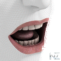 Write SMS by Voice Pro v1.5.apk