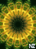 Abcstraksija_240x320_63_.gif