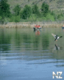 pr072.gif