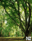 pr079.gif