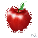 Fresh Network Pro.apk