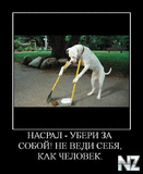 Насрал, убери за собой!