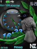 bird_clock_n12.nth