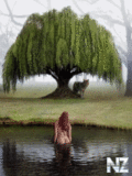 Devushki_240x320_95_.gif