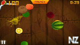 Fruit Ninja - v.1.07(4).zip