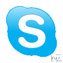 Skype v2.9.0.315.apk