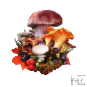 Mushrooms Release v0.2.2.1.apk