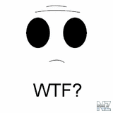 WTF.jpg