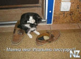 Котэ