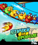 birds_on_a_wire_ml_android_240x320.apk