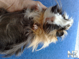 14082012051.jpg