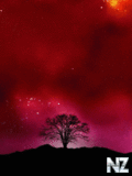 space_240x320_134_.gif