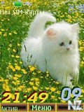 summer24pict.nth