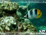 underwater_e61_by_alfa_4a76e5cac6ecd.sis