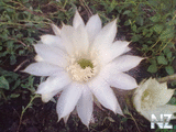 27082012010.jpg