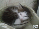 18092012097.jpg