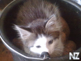 20092012100.jpg