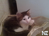 26092012105.jpg