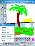 Paint WM v5.0 2.02