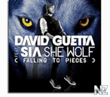 David Guetta - She Wolf (Falling To Pieces) ft. Sia.m4v