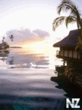Zdanija_240x320_130_.gif