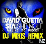 David Guetta feat. Sia - She Wolf.mp3