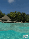 Zdanija_240x320_159_.gif