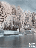 197.gif