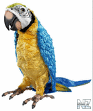 РїР°РїСѓРіР°Р№ Р¶РµС‚ РЅРµ РїРѕ РґРµС†РєРё.flv