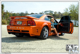 Saleen_Wallpaper_05_by_scarcrow28.jpg