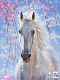 Animals_10_.gif