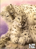 Animals_15_.jpeg