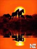 Animals_22_.gif
