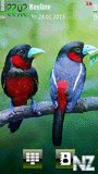 Pair by Kallol.sisx