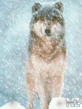 Animals_30_.gif