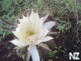 27082012011.jpg