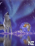 Animals_50_.gif