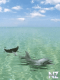 sea_95_.gif
