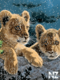 Animals_64_.gif