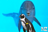 1334131410_18.jpg