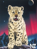 Animals_68_.gif