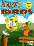 Wake Up Birds.jar