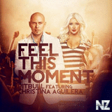 Pitbull - Feel This Moment ft. Christina Aguilera.xvid.mkv