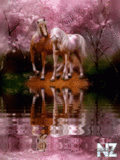 Animals_90_.gif