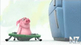 Avakids_pig.mp4