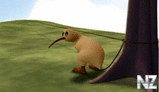 Kiwi.mp4