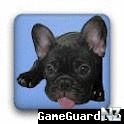 В®GameGuardian v6.0.0.apk