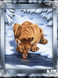 Animals_100_.gif