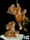 Animals_101_.gif